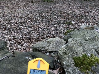 Starodávný hřbitov