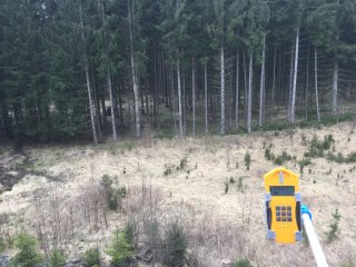 Po zvířecí stezce na haldě