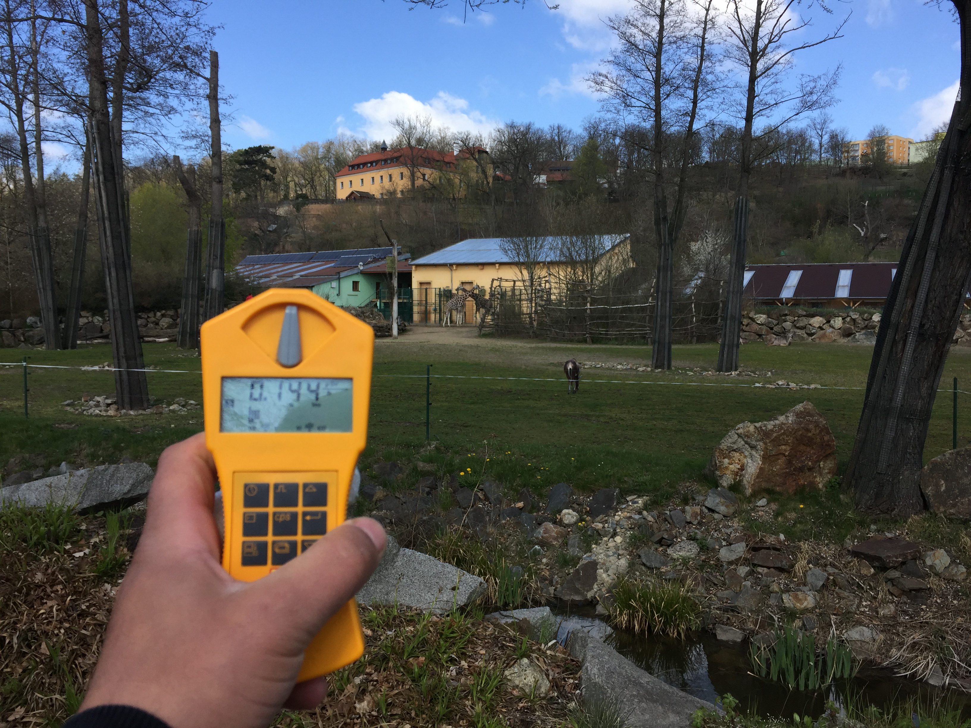 Zoo - výběh - žirafy