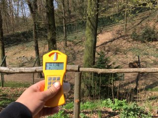 Zoo - výběh - medvědi