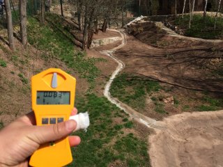 Zoo - výběh - Tygři