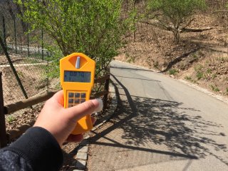 Zoo - výběh - Tygři