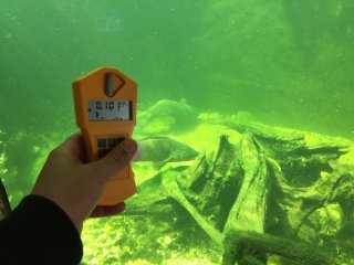 Zoo - pavilon - ryby