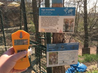 Zoo - výběh - tygři