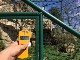 Zoo - výběh - supy