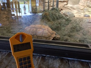 Zoo - pavilon - želvy