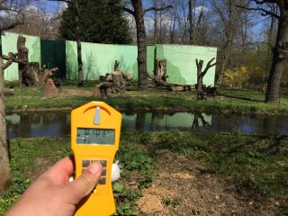 Zoo - výběh - šimpanzi