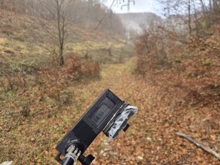 Helcmanovce - dolina v lese na ceste