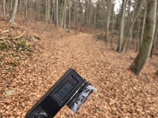 Helcmanovce - lesná cesta