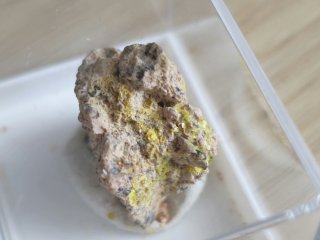Metaautunit - Nový Fojtov