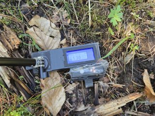 Spišský Štiavnik - lesná cesta #11