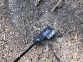 Spišský Štiavnik - lesná cesta #12