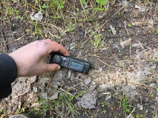 Spišský Štiavnik - lesná cesta #16