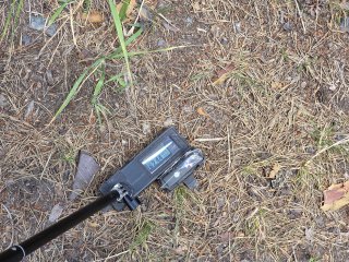 Spišský Štiavnik - lesná cesta #22