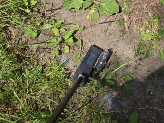 Spišský Štiavnik - lesná cesta #24