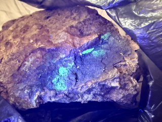 Aktivní kamen na odvalu bývalého lomu Abertamy