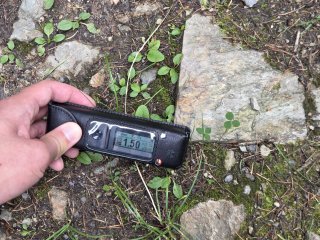 Novoveská Huta - pod Skalkou, lesná cesta #1