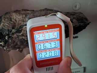 Kámen v muzeum v příbrami