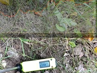 Bývalý uranový důl Chotěboř