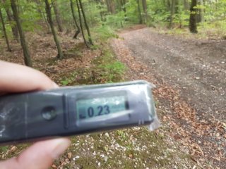 Jahodná, lesná cesta #22