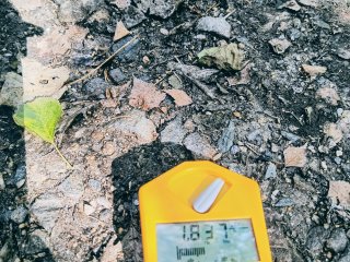 Lesní cesta s navážkou z Dyleně