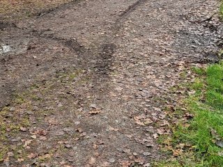 Lhota / Nová Hospoda