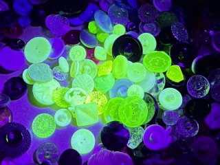 Knoflíky z uranového skla