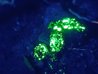 Bývalý uranový důl Damětice