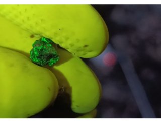 Bývalý uranový důl Kosobody / Soseň