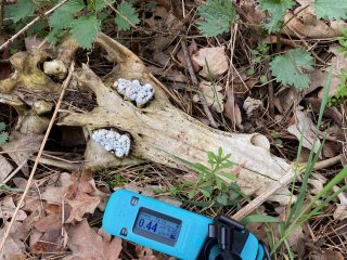 Malé přílepy, okolí štoly