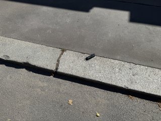 IMG_8131.jpeg