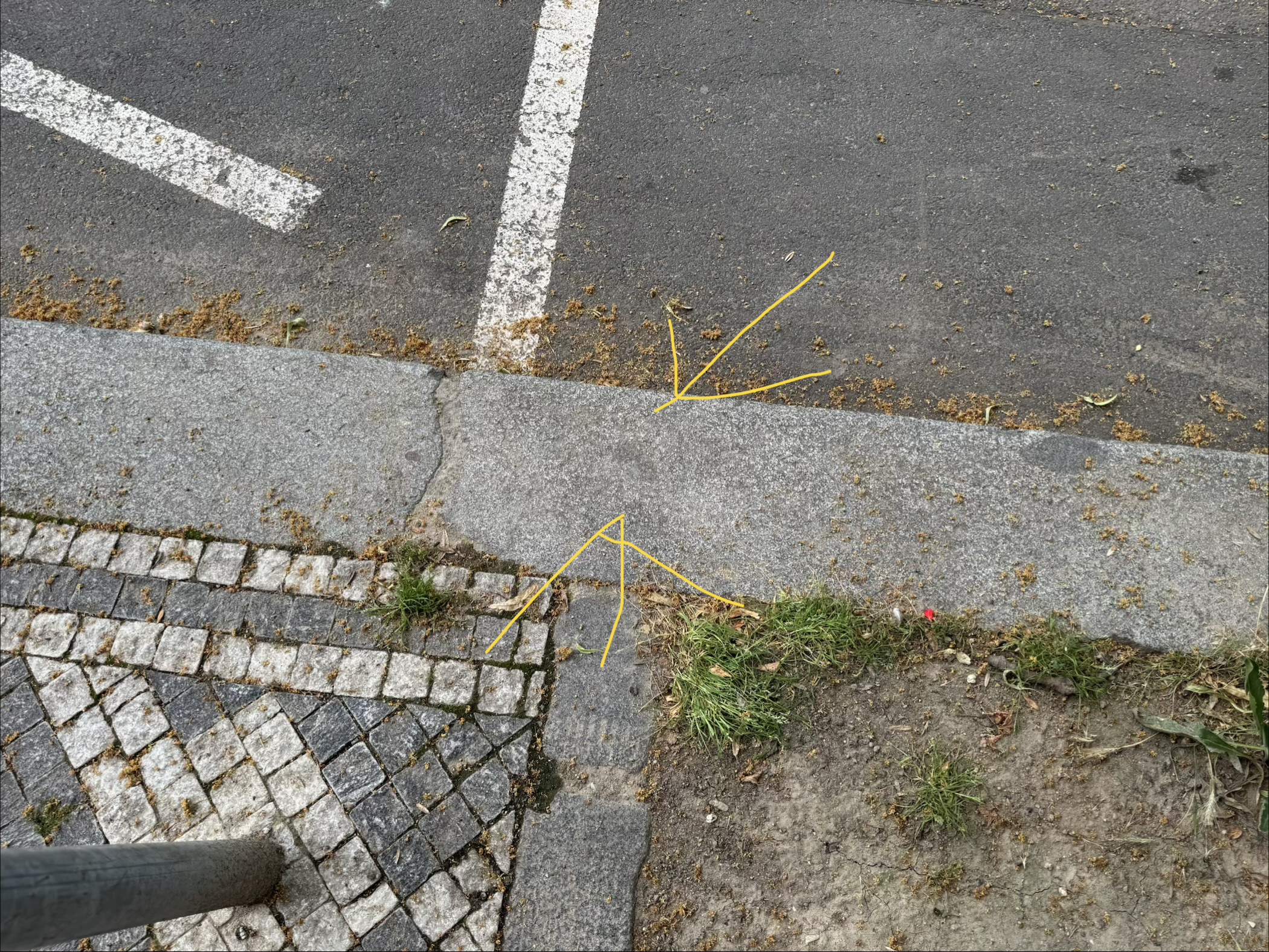 IMG_8141.jpeg