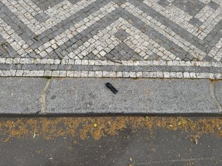 IMG_8142.jpeg