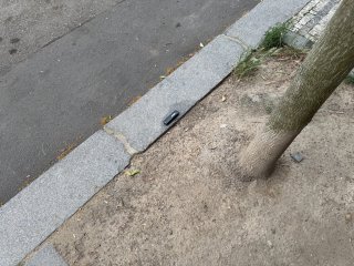 IMG_8144.jpeg