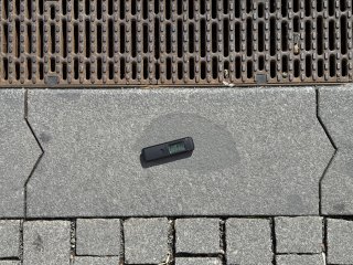 xenolit