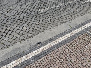 xenolit
