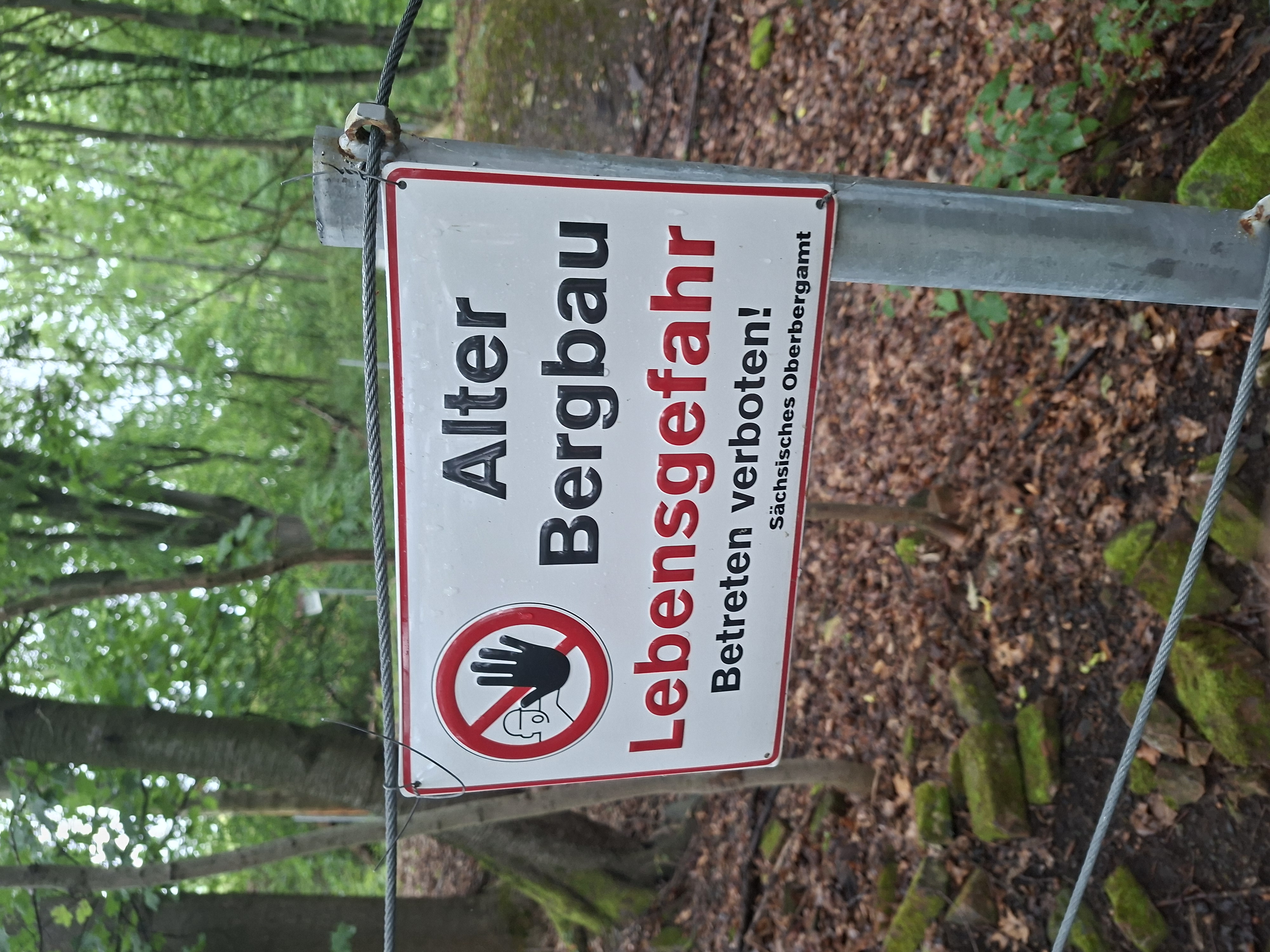 Rosinaschacht