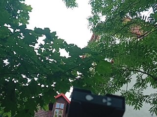 Slezskoostravský hrad