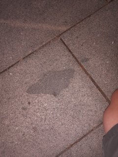 Xenolit v žulovém chodníku 3