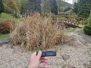 Park na kraji Jáchymova