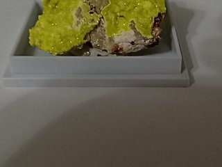Autunit 