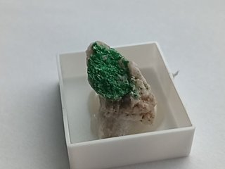 Torbernit