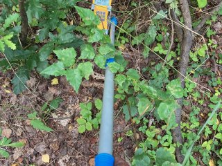 Hotspot mezi stromky