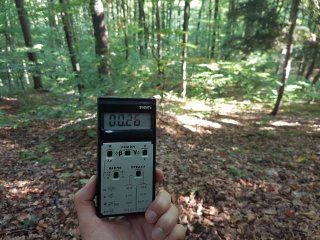 Les pri prieskumných vrtoch