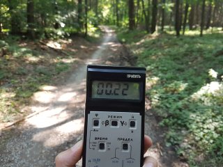 Jahodná, lesná cesta #4