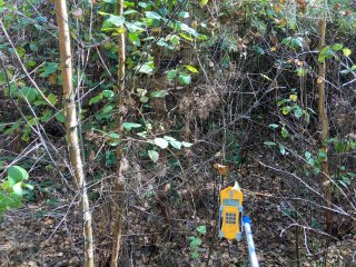 Odval jámy Bor č. IV