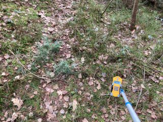 Šurf č.118-Benešovice