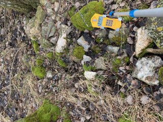 Lesní remízek mezi poli