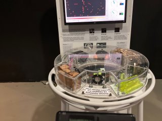 Expozice: "Žijeme v poli záření"