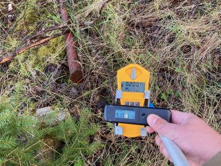 Šurf č.24-Bor III-Jih